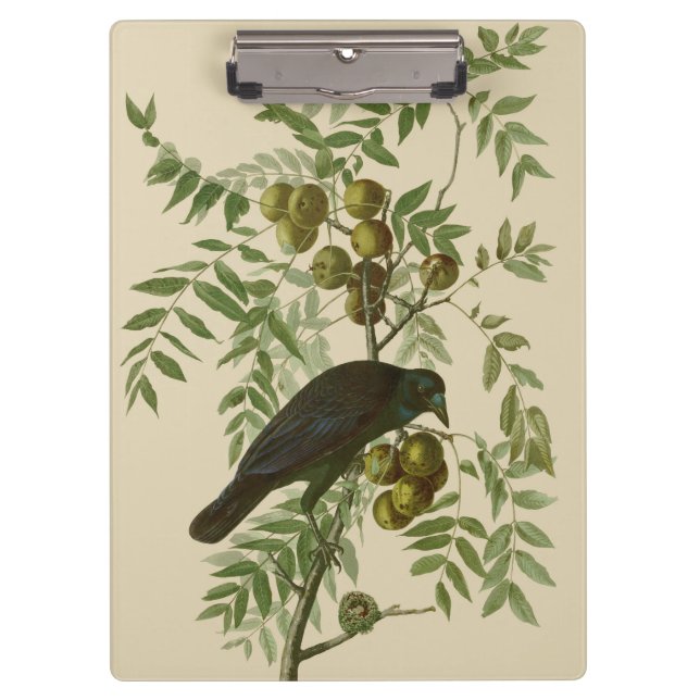 Porte-bloc Audubon American Crow Black Bird (Devant)
