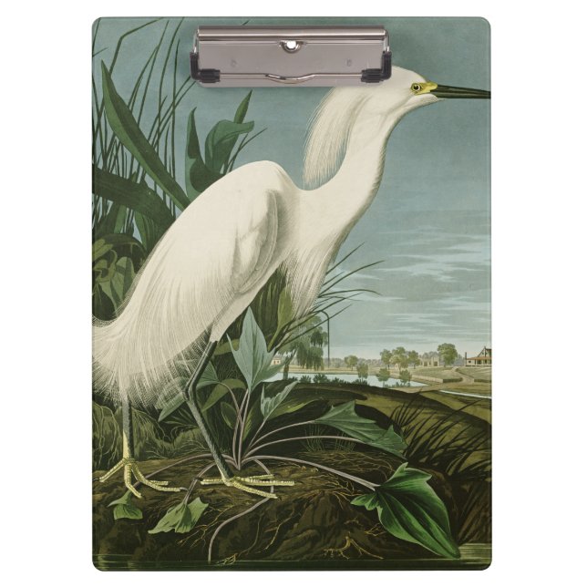 Porte-bloc Audubon Héron de neige Oiseaux d'aigrettes blanche (Devant)