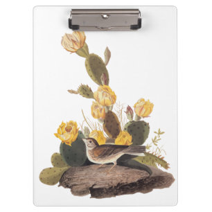 Porte-bloc Audubon Vesper Sparrow et Prickly Pear Cactus