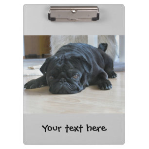 Porte-bloc avec chiot Carlin noir mignon
