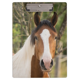 Porte-bloc Beau Cheval de Peinture