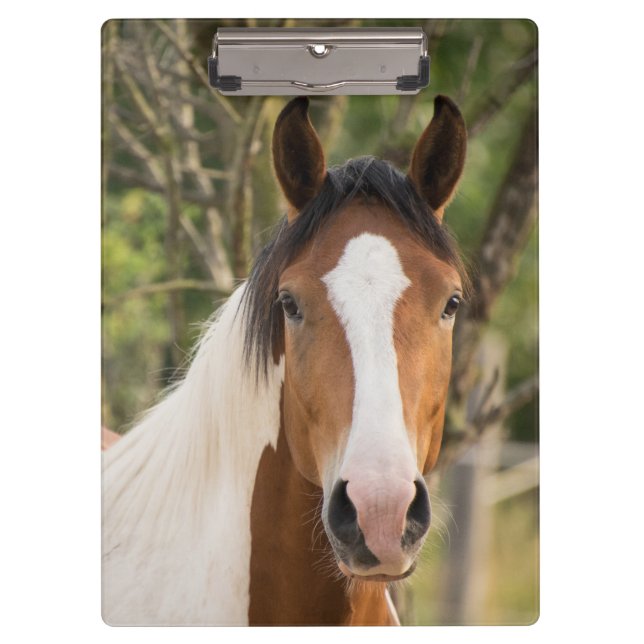 Porte-bloc Beau Cheval de Peinture (Devant)