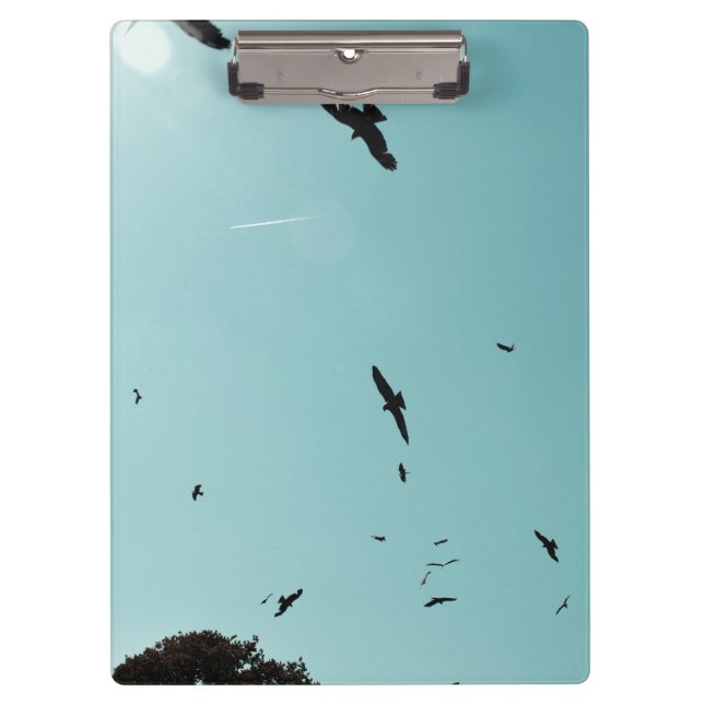 Porte-bloc Beaucoup d'oiseaux et un controle (Devant)