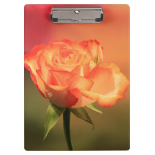 Porte-bloc Belle photo de Rose romantique