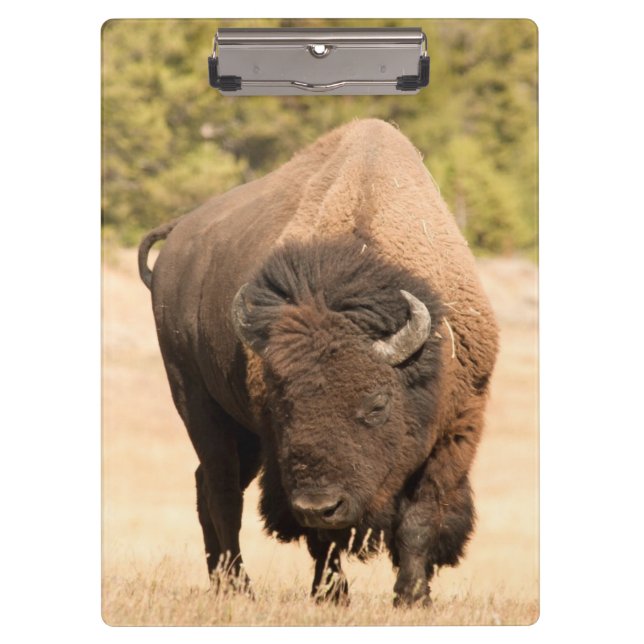 Porte-bloc Bison (Devant)