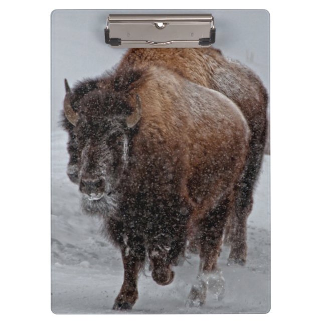 Porte-bloc Bison de Yellowstone (Devant)
