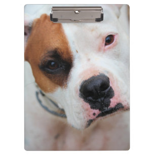 Porte-bloc Boucle