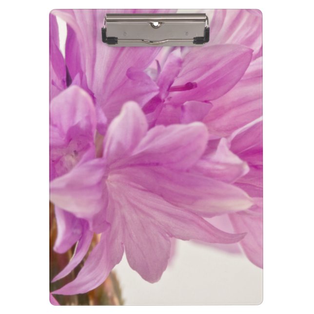 Porte-bloc Bouton de mise à jour (Devant)