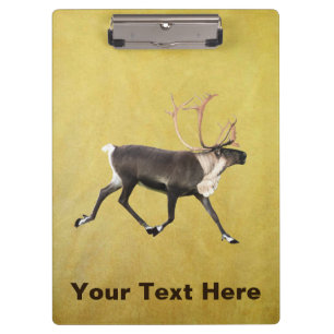 Porte-bloc Bull Caribou