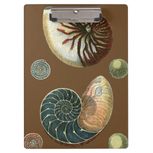 Porte-bloc Cacao Shell
