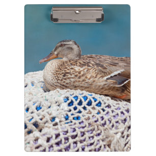 Porte-bloc Canard de repos