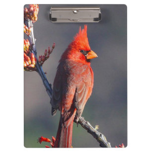 Porte-bloc Cardinal