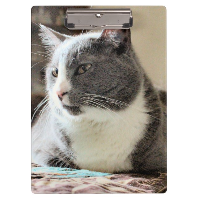 Porte-bloc Cat (Devant)