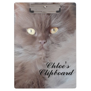 Porte-bloc Cat mignon 