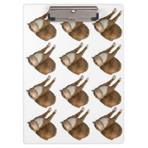 Porte-bloc Chat au soleil à l'envers