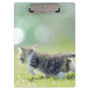 Porte-bloc Chat de bébé fonctionnant sur le champ d'herbe