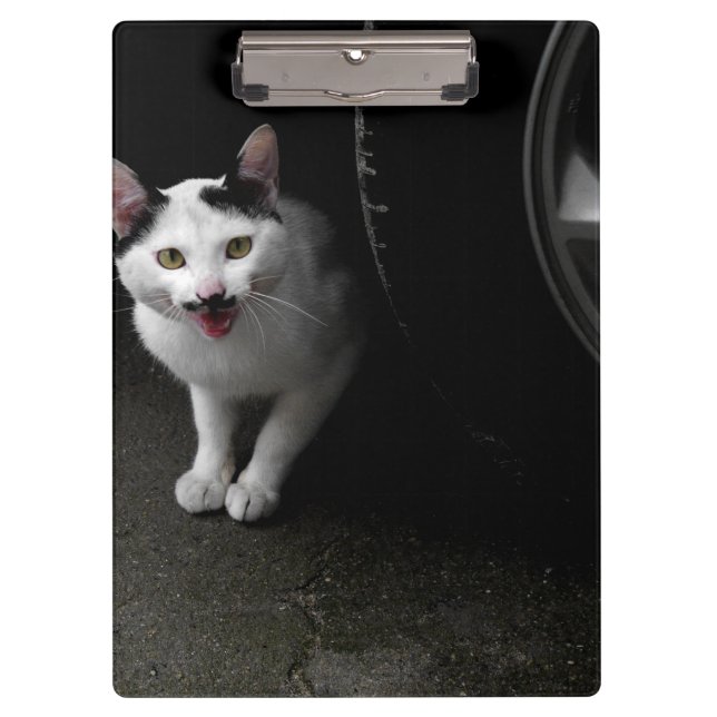 Porte-bloc Chat errant avec moustache (Devant)