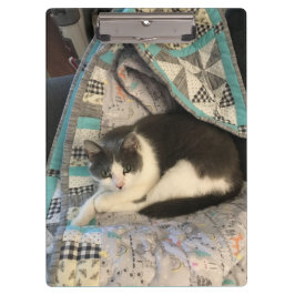 Porte-bloc Chat gris et blanc