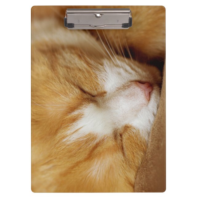 Porte-bloc Chaton couchant (Devant)