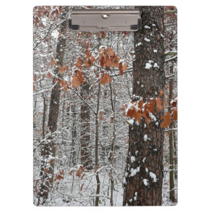 Porte-bloc Chênes couverts de neige hiver Photographie de la