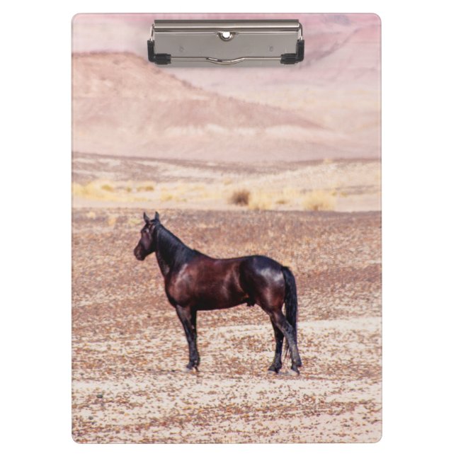 Porte-bloc Cheval du désert P8664 (Devant)