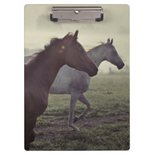 Porte-bloc Chevaux sauvages