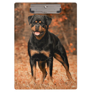Porte-bloc Chien à chiots de Rottweiler