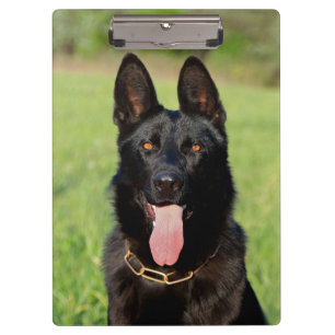 Porte-bloc Chien berger noir allemand - Chien à chiots GSD