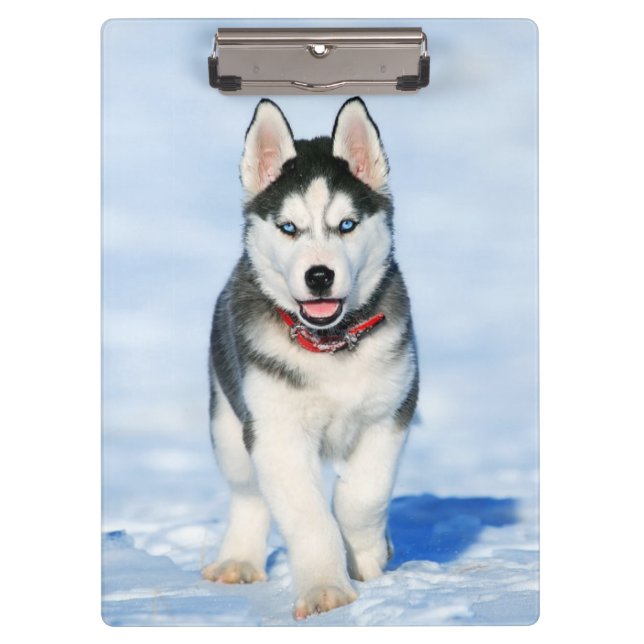 Porte-bloc Chien coquelicot de Cute Husky dans la neige (Devant)