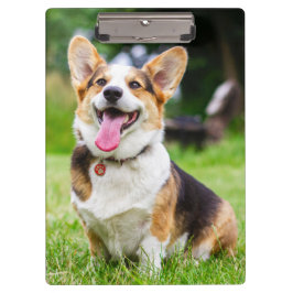 Porte-bloc Chien coquelicot de Pembroke Welsh Corgi