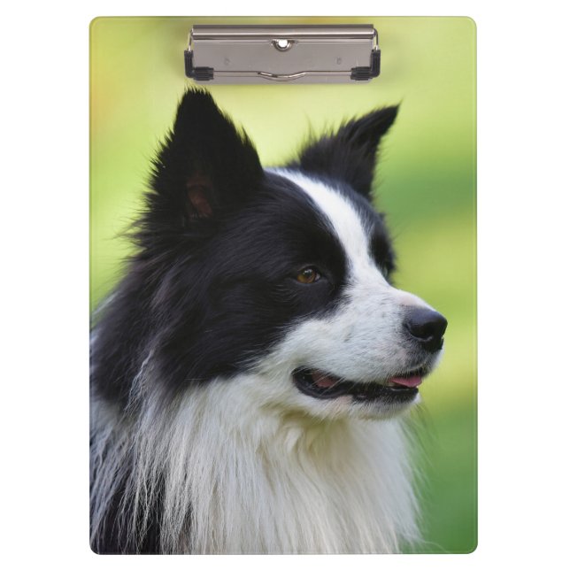 Porte-bloc Chien de berger border collie noir et blanc (Devant)