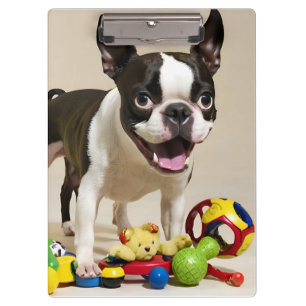 Porte-bloc Chien de Boston Terrier jouant avec des jouets