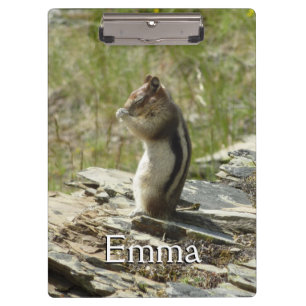 Porte-bloc Chipmunk dans le Parc national des Glaciers II