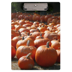 Porte-bloc Citrouille Patch Automne Harvest Photographie
