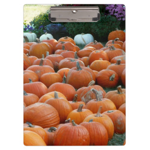 Porte-bloc Citrouilles et Chrysanthèmes Photographie de la ré