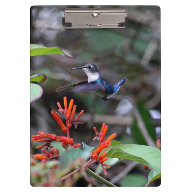 Porte-bloc Colibri en vol et fleurs rouges (Devant)