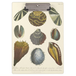 Porte-bloc Collection Conchology