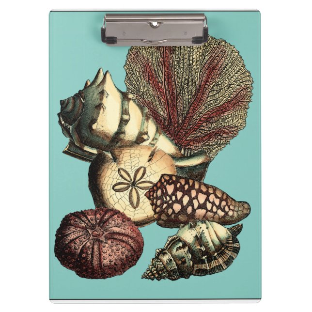 Porte-bloc Collection de coquillages turquoise et de coraux r (Devant)