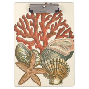 Porte-bloc Collection de vies marines