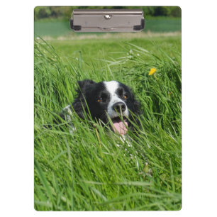 Porte-bloc Collie noir et blanc dans l'herbe