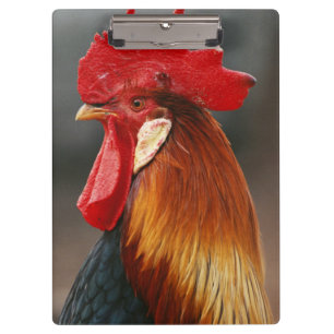 Porte-bloc Coq domestique de basse-cour