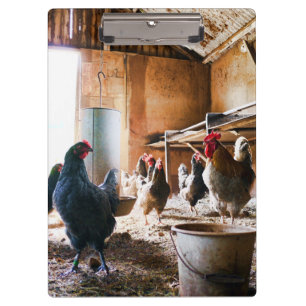 Porte-bloc Coq et poules à l'intérieur de la grange