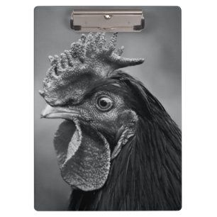 Porte-bloc Coq noir et blanc