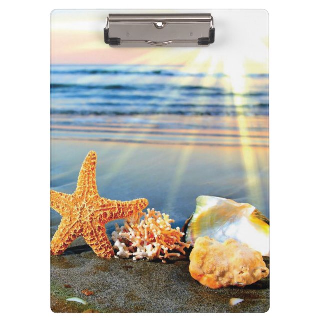 Porte-bloc Coquillages marins et étoiles de mer sur la plage (Devant)