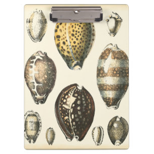 Porte-bloc Coquillages uniquement formés