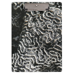 Porte-bloc Corail noir et blanc I Abstrait Nature Photo