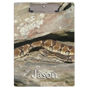Porte-bloc Crotale dans le parc national de Shenandoah