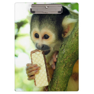 Porte-bloc Cute Baby Squerrl Monkey Eating a Wafer Biscuit