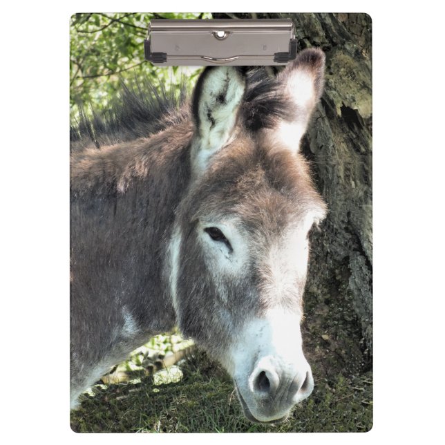 PORTE-BLOC CUTE DONKEY (Devant)