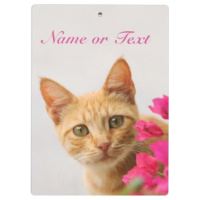Porte-bloc Cute Ginger Chat Kitten Vous Regardant - Personnal (Dos)